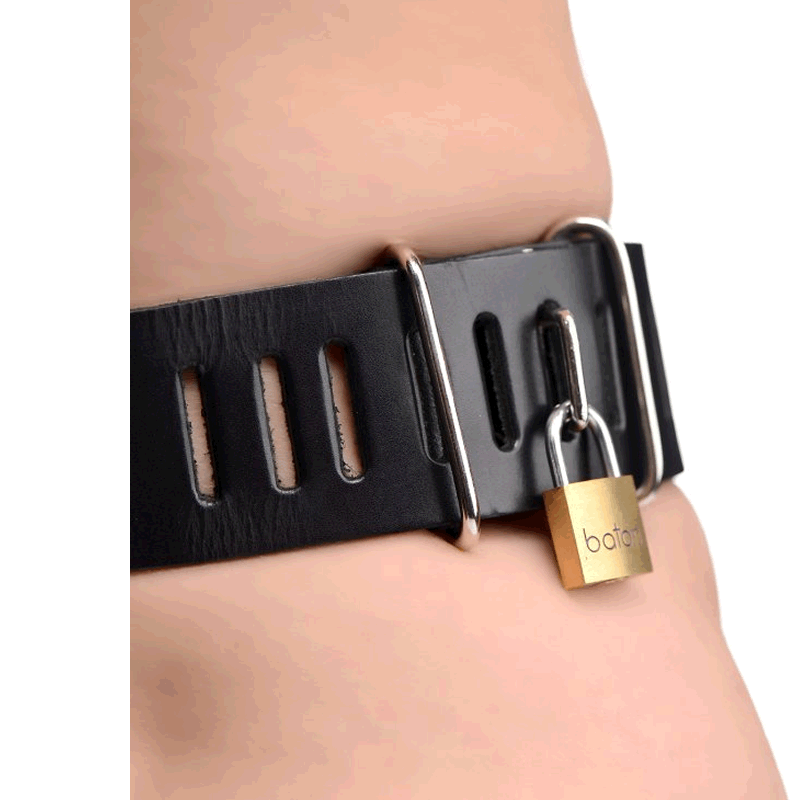 Deluxe Locking Chastity Belt